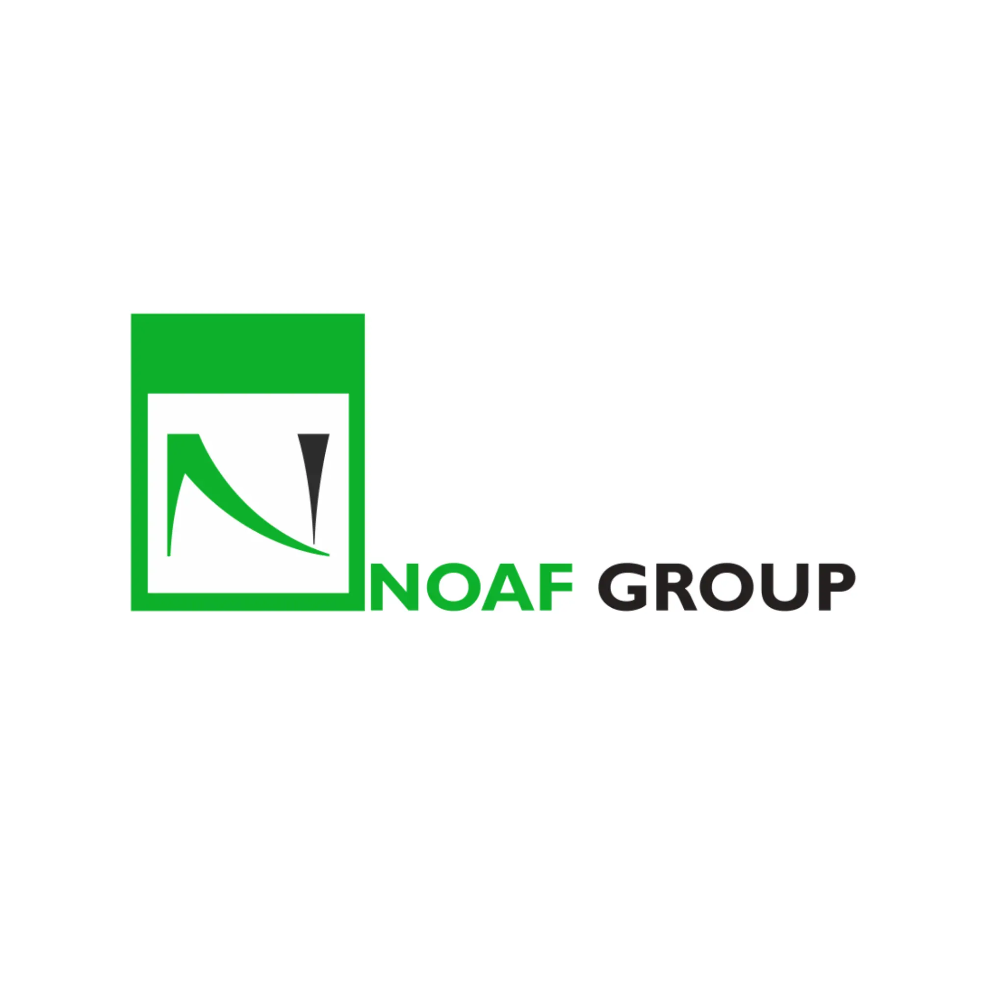 Photo of NOAF Advertising LLC giving testimonial for SGI Mena